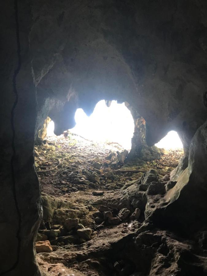 Oasis En La Naturaleza Rancho Alto Bonito Las Galeras Dış mekan fotoğraf