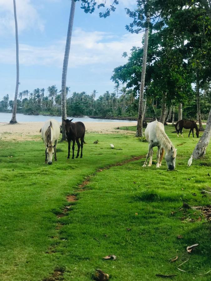 Oasis En La Naturaleza Rancho Alto Bonito Las Galeras Dış mekan fotoğraf