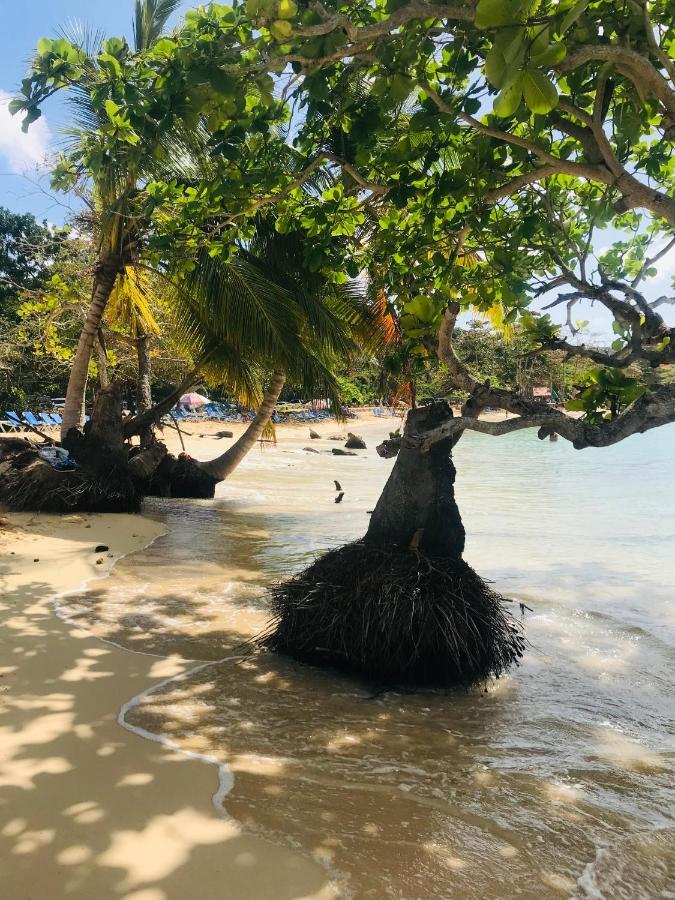 Oasis En La Naturaleza Rancho Alto Bonito Las Galeras Dış mekan fotoğraf