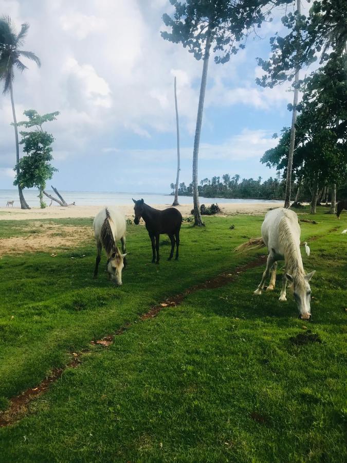 Oasis En La Naturaleza Rancho Alto Bonito Las Galeras Dış mekan fotoğraf